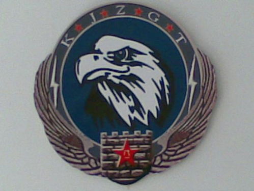 中國空軍部隊各部隊特色徽章欣賞